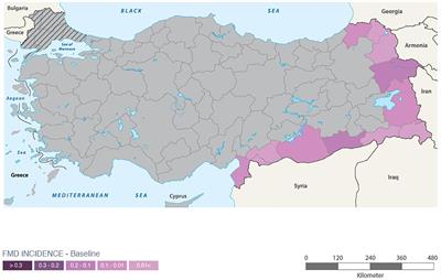 Economic Analysis of Increasing Foot-and-Mouth Disease Vaccination Frequency: The Case of the Biannual Mass Vaccination Strategy